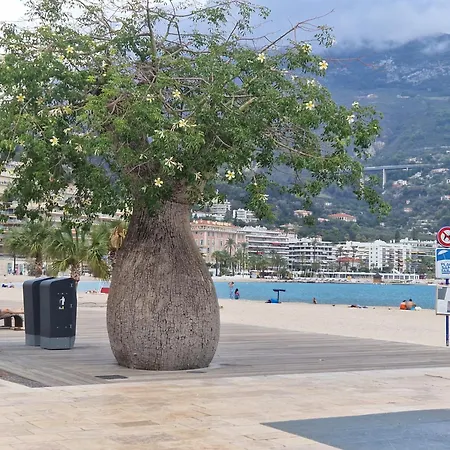 Le 182, Plage A Pied, Balcon & Climatisation Apartman *